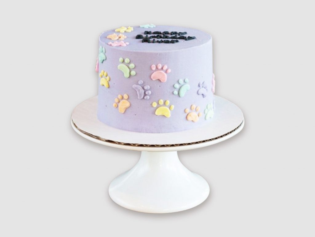 paw-print-birthday-cake-full-tutorial-basic-cake-decorating-lesson