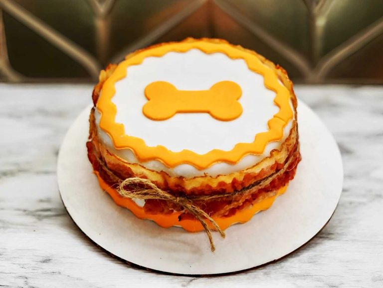 Order Dog Special Cake Online Cute Pet Bakery