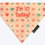 Hearts Birthday Dog Bandana