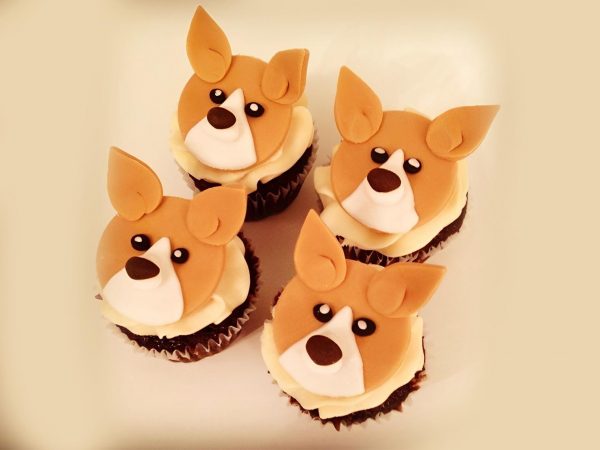 Corgi Face Cupcake Set