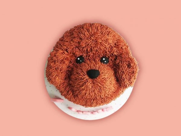 Cavapoo Face Cake Design