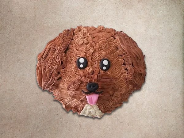 cavapoo face cake