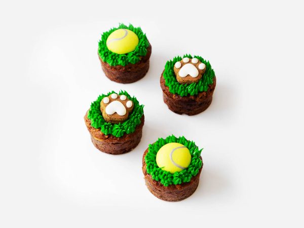 Grassland Games Cupcakes