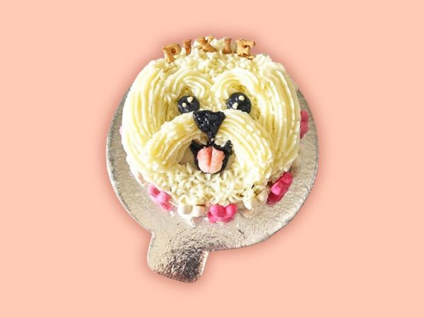 Lhasa Apso Face Cake Design