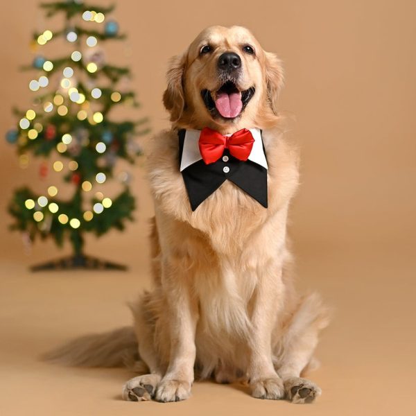 HUFT Tuxedo Dog Bandana - Black