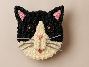 Black and White Cat Face Cake