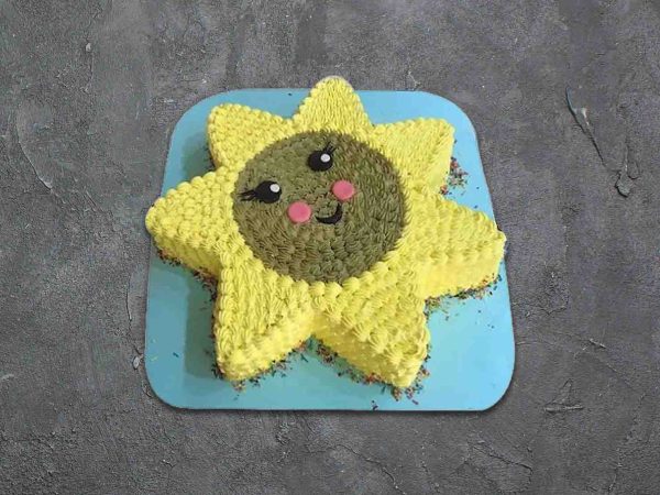 sun-shaped dog cake