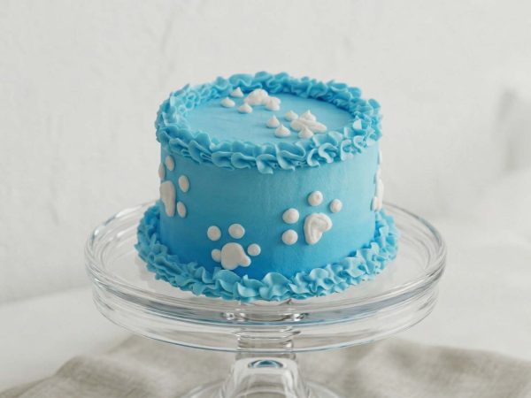 Sky blue dog birthday cake with white frosting paw prints