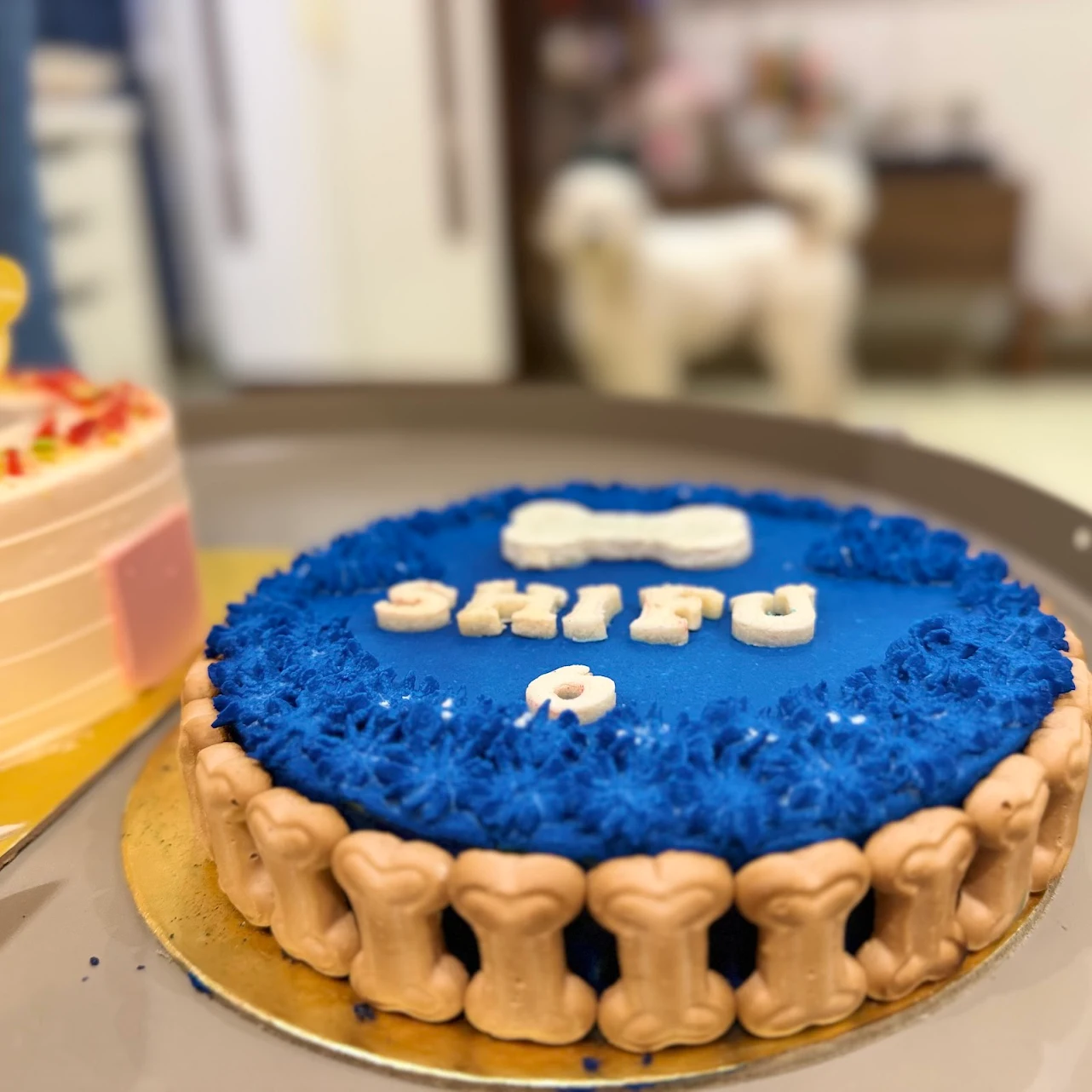 baby blue dog cake