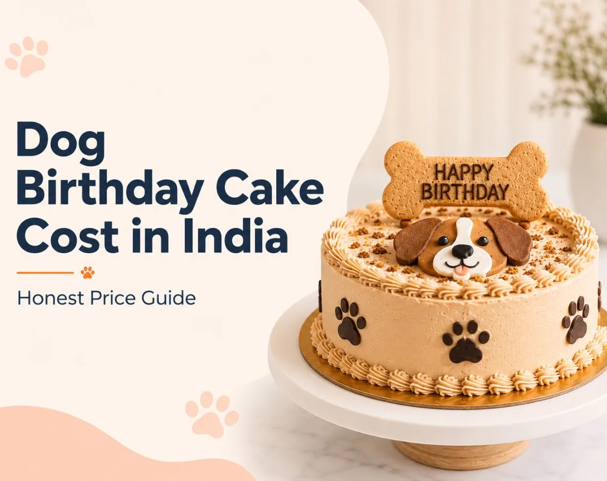 How Much Does a Dog Birthday Cake Cost in India? Honest Price Guide