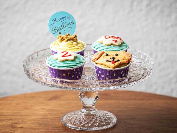 Four pet-friendly cupcakes in purple wrappers with teal and yellow frosting, dog biscuits, and a frosted dog face.