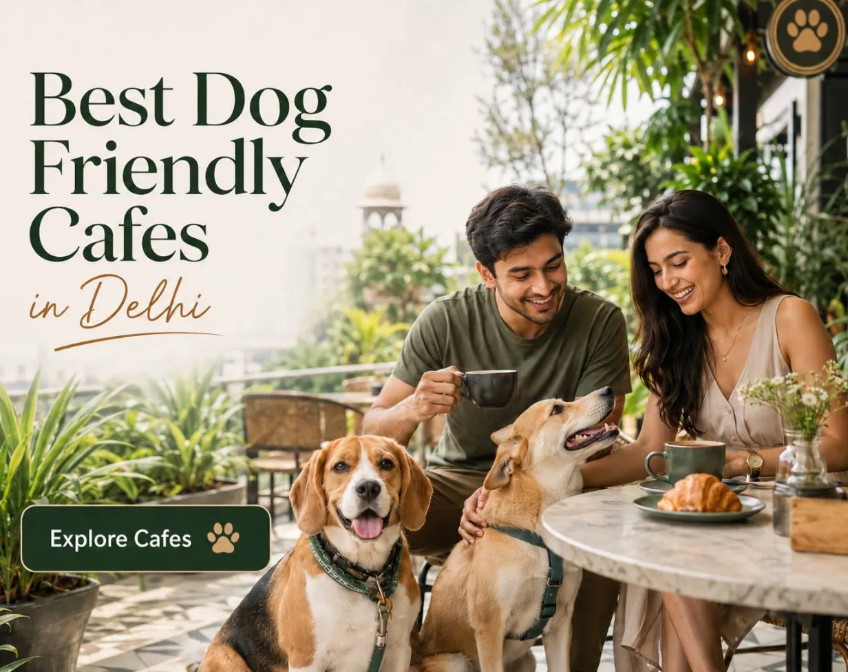 Best Dog-Friendly Cafes & Restaurants in Delhi 2026