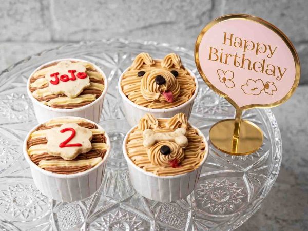 Four dog cupcakes with peanut butter frosting, 3D frosted fluffy dog faces, and personalized biscuit toppers.
