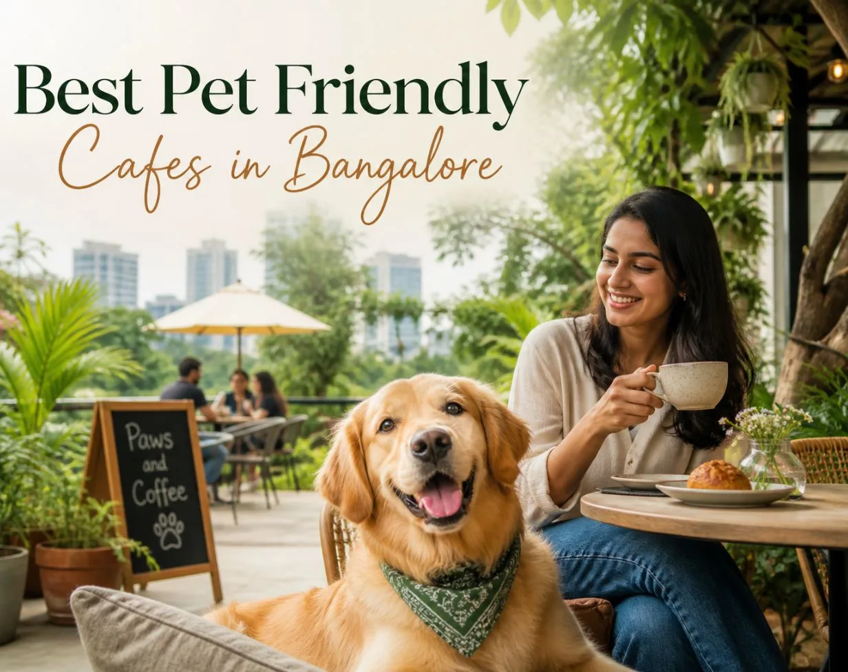 pet friendly cafes in bangalore
