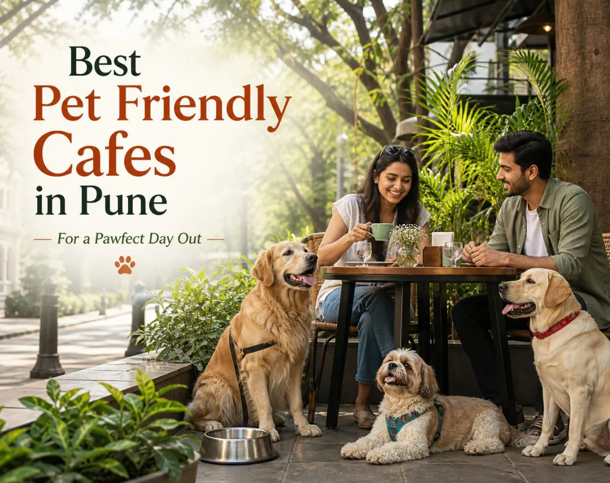 Best Pet-Friendly Cafes in Pune for a Pawfect Day Out