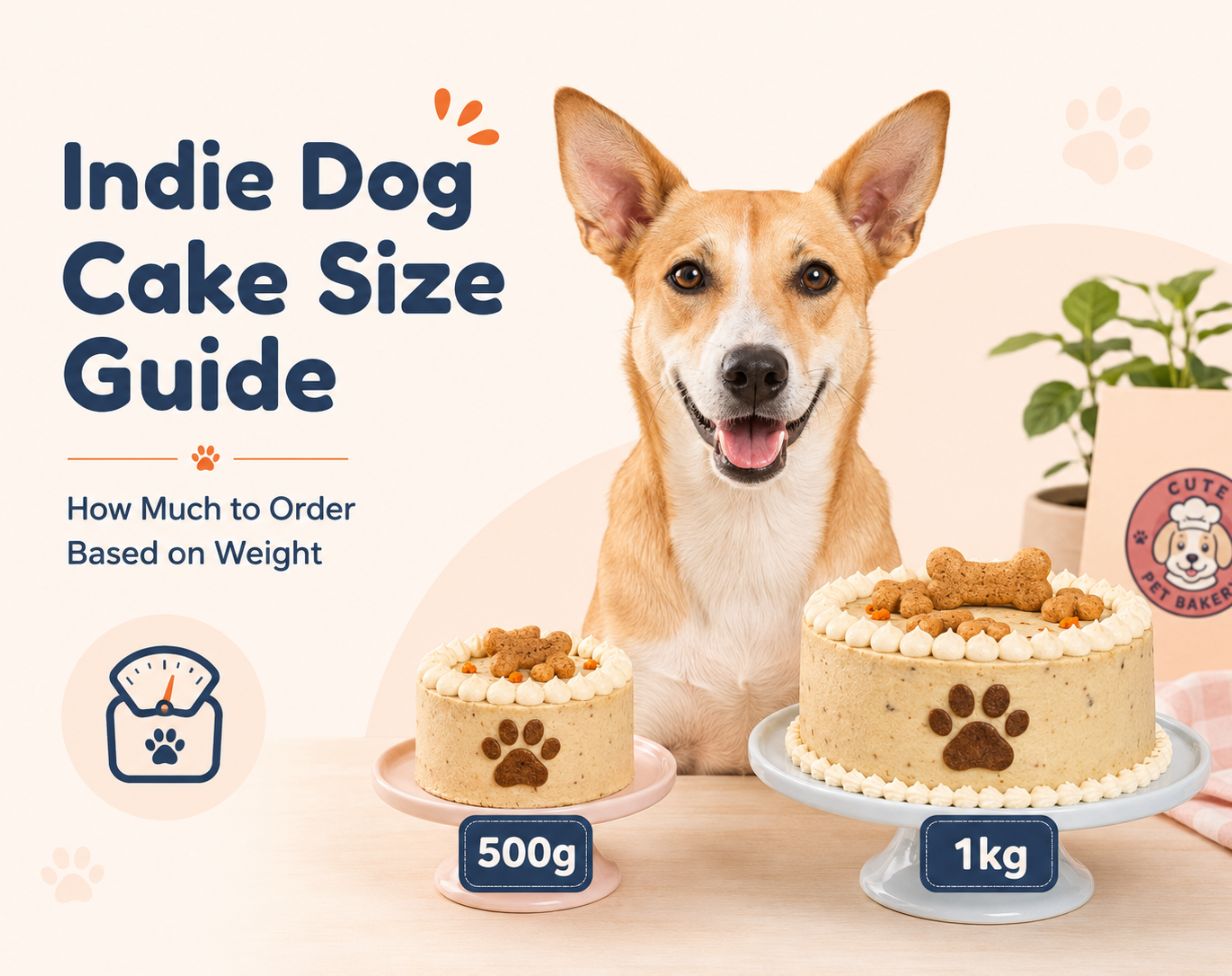 Cake Size Guide for Indie Dogs: How Much to Order Based on Weight